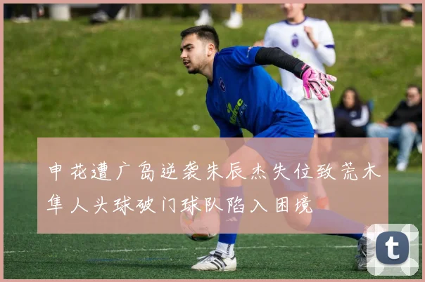 申花遭广岛逆袭朱辰杰失位致荒木隼人头球破门球队陷入困境