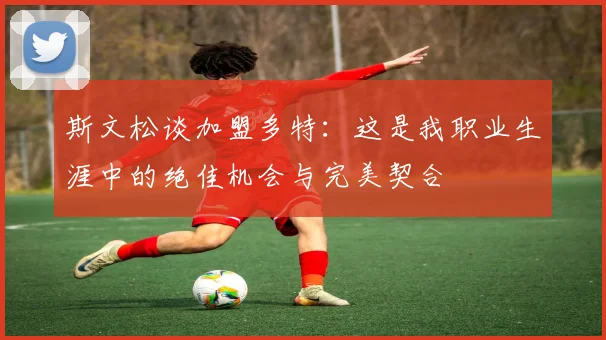 斯文松谈加盟多特：这是我职业生涯中的绝佳机会与完美契合