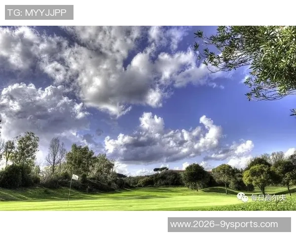 科威特支付350万欧元成功获得法国超级杯承办权